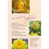 Fragrance card - I wish you openness